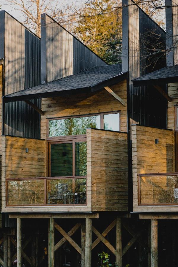 Ni-Newen Hotel & Lodge Pucón Zewnętrze zdjęcie